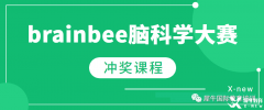 BrainBee競賽為何值得參加？BrainBee培訓(xùn)課程推薦