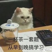 2023年澳洲AMC競賽怎么報(bào)名？澳洲AMC競賽歷年真題下載！