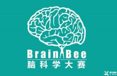 Brainbee腦科學(xué)競(jìng)賽含金量高嗎？犀牛Brainbee競(jìng)賽沖刺基礎(chǔ)班報(bào)名中~