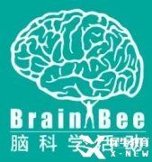 2024年Brain bee競(jìng)賽報(bào)名中！Brain bee競(jìng)賽輔導(dǎo)班介紹！