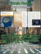 Brainbee腦科學(xué)大賽是什么？犀牛Brainbee競賽培訓(xùn)班還在招生中……