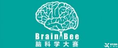 Brain Bee腦科學大賽備考須知！備考Brain Bee競賽考前輔導培訓班有嗎？