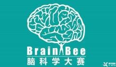 Brainbee腦科學(xué)大賽，零基礎(chǔ)居然也能參加的生物競(jìng)賽！