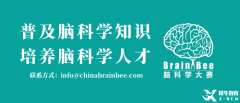 2025BrainBee腦科學(xué)大賽開始報名！BrainBee報名考試時間/報名方式/考試大綱奉上！