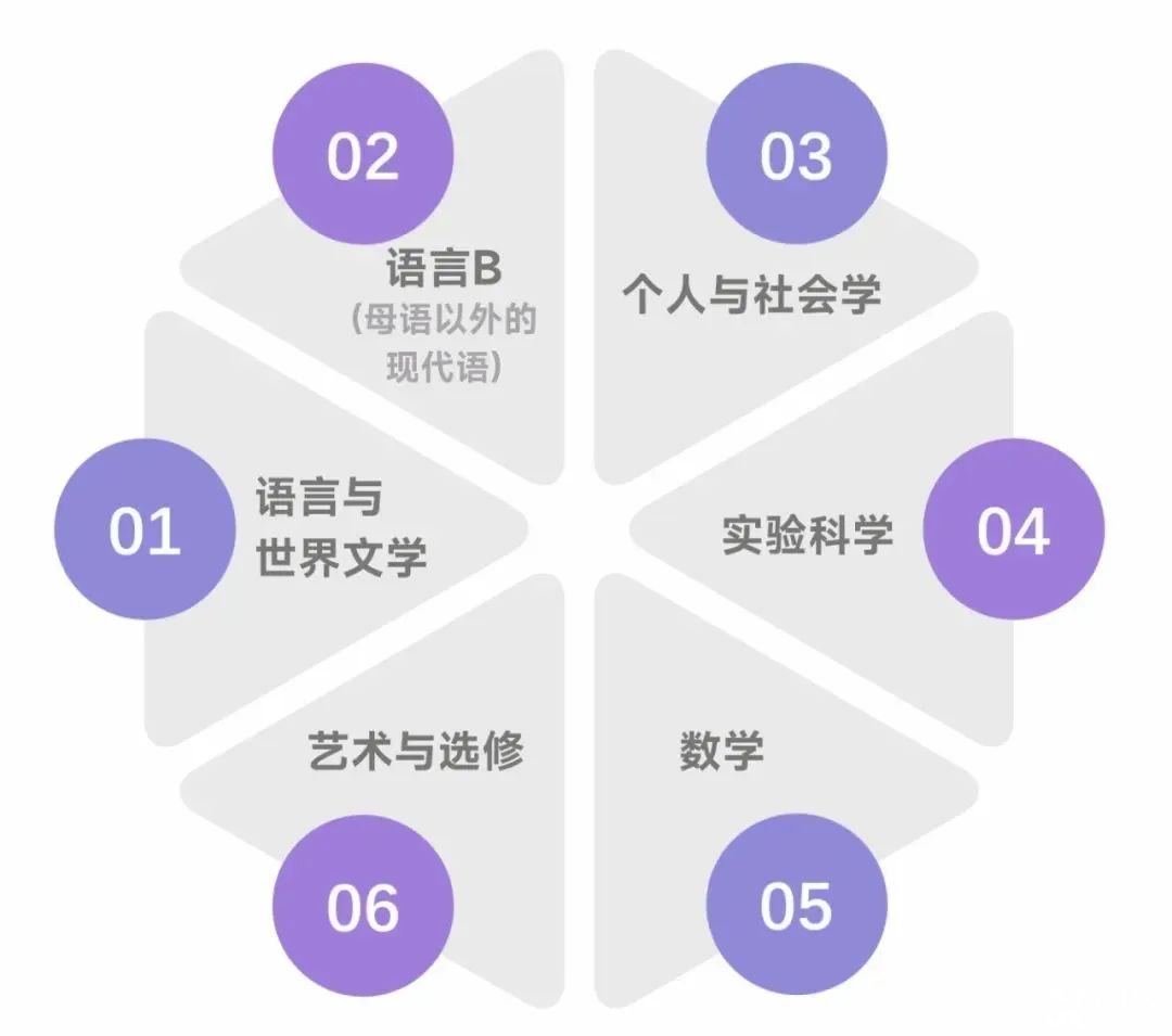 國際學(xué)校春秋招必看！含金量高，難度超模，IB課程該不該選？
