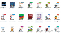 IGCSE課程是什么：國(guó)際教育“黃金跳板”，如何助力孩子沖擊世界名校?
