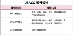 USACO銅升銀/銀升金/金升鉑金競(jìng)賽培訓(xùn)，暑期多種班型任選！