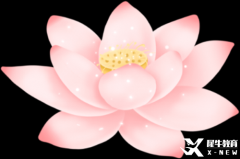 暑假IGCSE課程開課，全國30+校區(qū)