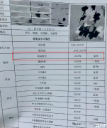 袋鼠數(shù)學(xué)競賽一文講清楚！袋鼠數(shù)學(xué)競賽適合幾年級(jí)？